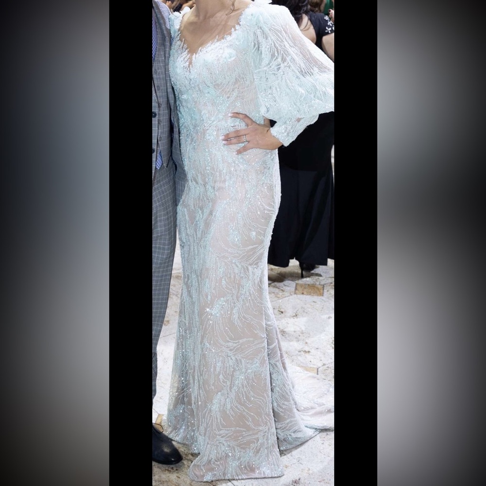 Custom Gown - Worn Once for a few hours. Perfect Condition.
